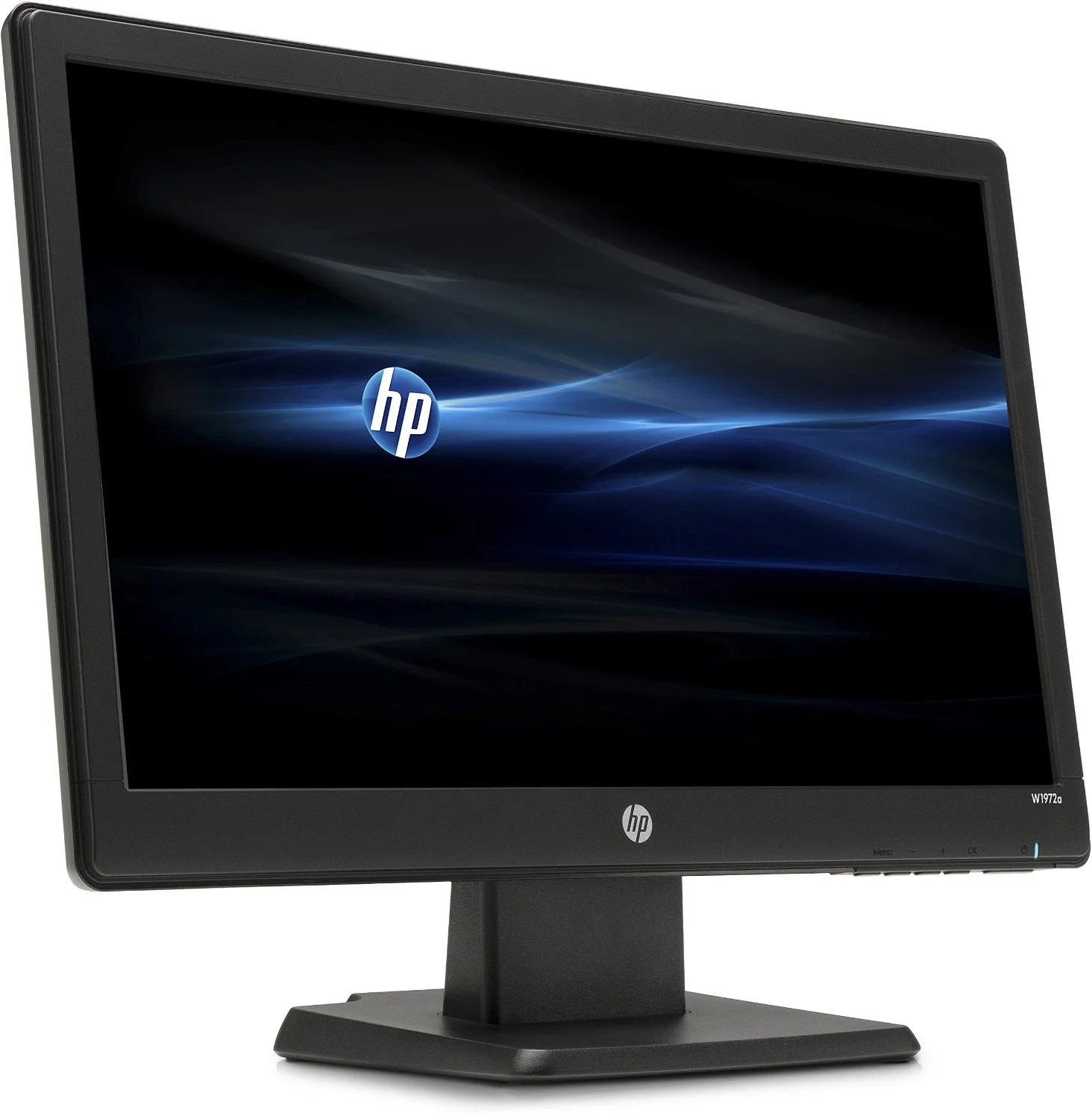 HP 19-INCH WIDE MONITOR