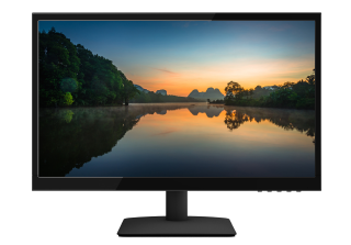 Planar 22" Wide Monitor